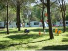 Camping Village Belvedere Pinetaubytovani